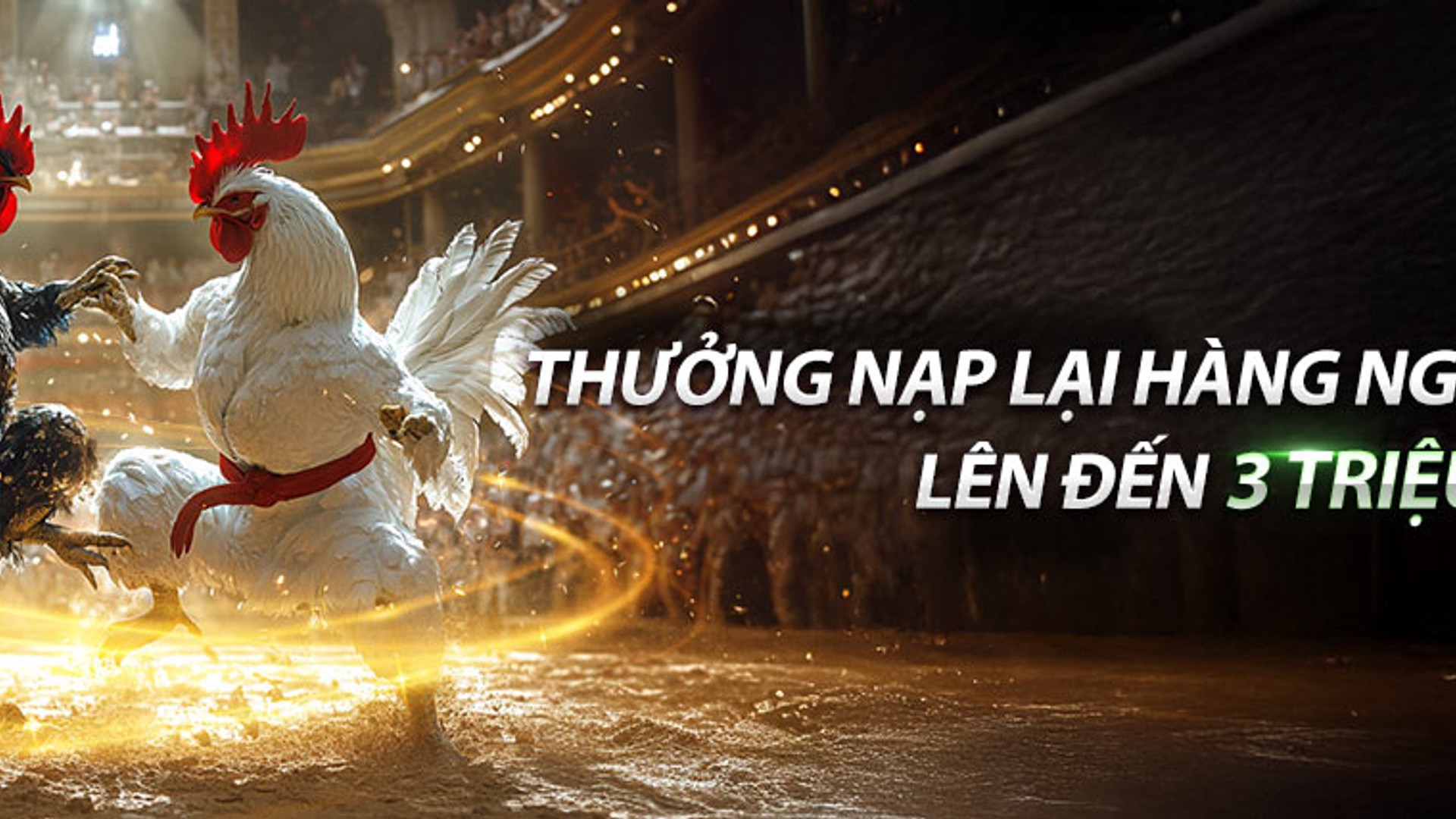 Sân vận động sôi động với nhiều môn thể thao, biểu tượng của cá cược thể thao MM99